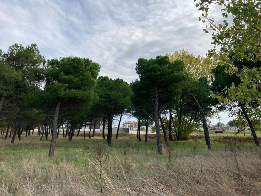 Terreno en venta en Pelabravo, Salamanca photo 3