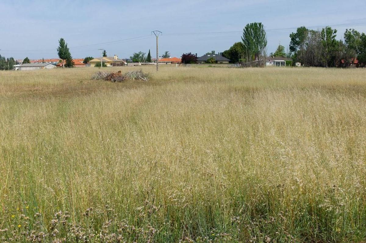 Terreno en venta en Santa Marta de Tormes, Salamanca photo 3