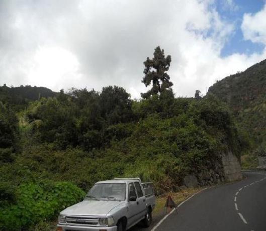 Terreno en Camino Llano la Palma, San Andrés y Sauces photo 1