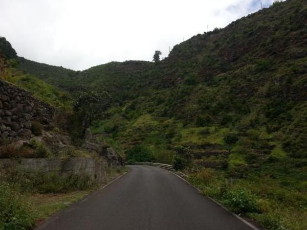 Terreno en Camino Llano la Palma, San Andrés y Sauces photo 4