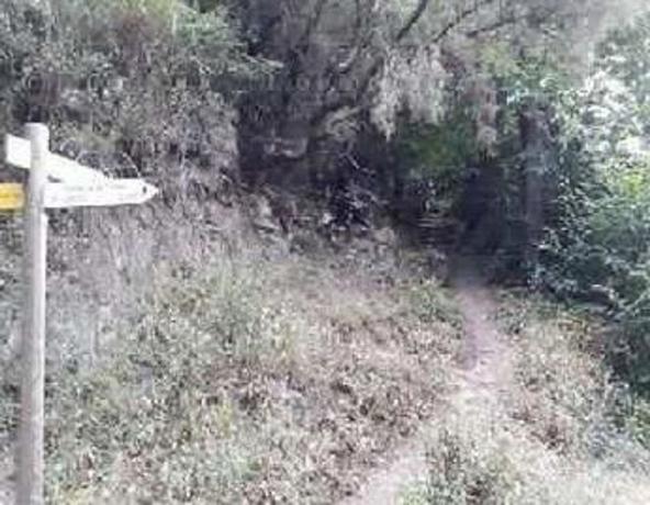 Terreno en Calle el Llanito, Breña Alta thumbnail 1