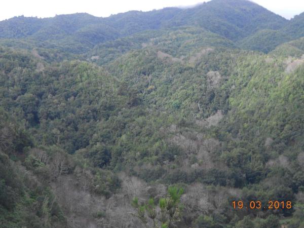 Terreno en Calle el Topo, 15, Puntallana photo 1