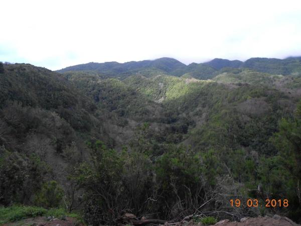 Terreno en Calle el Topo, 15, Puntallana thumbnail 1
