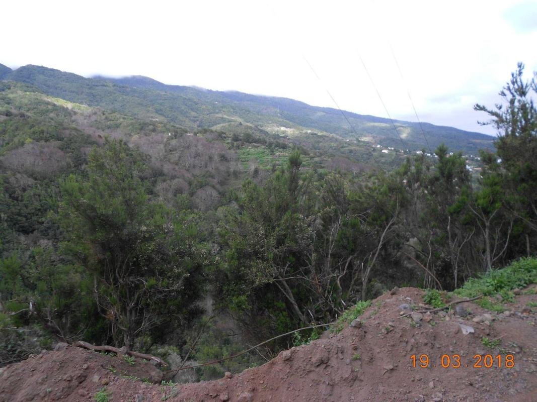 Terreno en venta en Puntallana, Santa Cruz de Tenerife photo 3