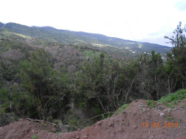 Terreno en Calle el Topo, 15, Puntallana thumbnail 2