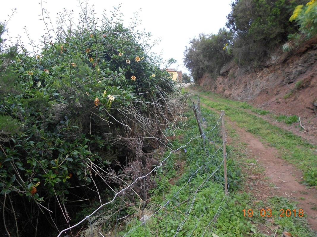 Terreno en venta en Puntallana, Santa Cruz de Tenerife photo 5