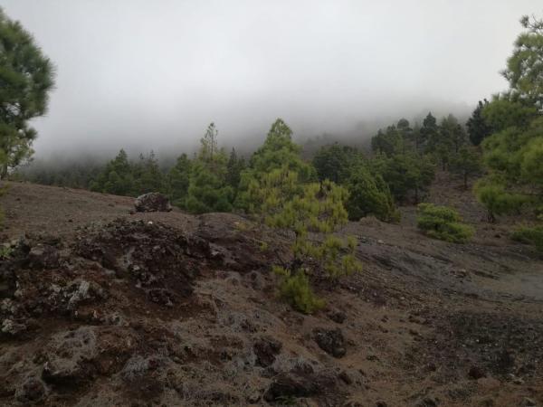 Terreno en Lp-2, El Paso photo 1
