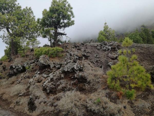 Terreno en Lp-2, El Paso thumbnail 1