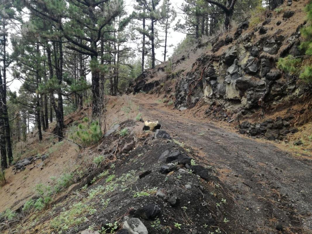 Terreno en venta en El Paso, Santa Cruz de Tenerife photo 3