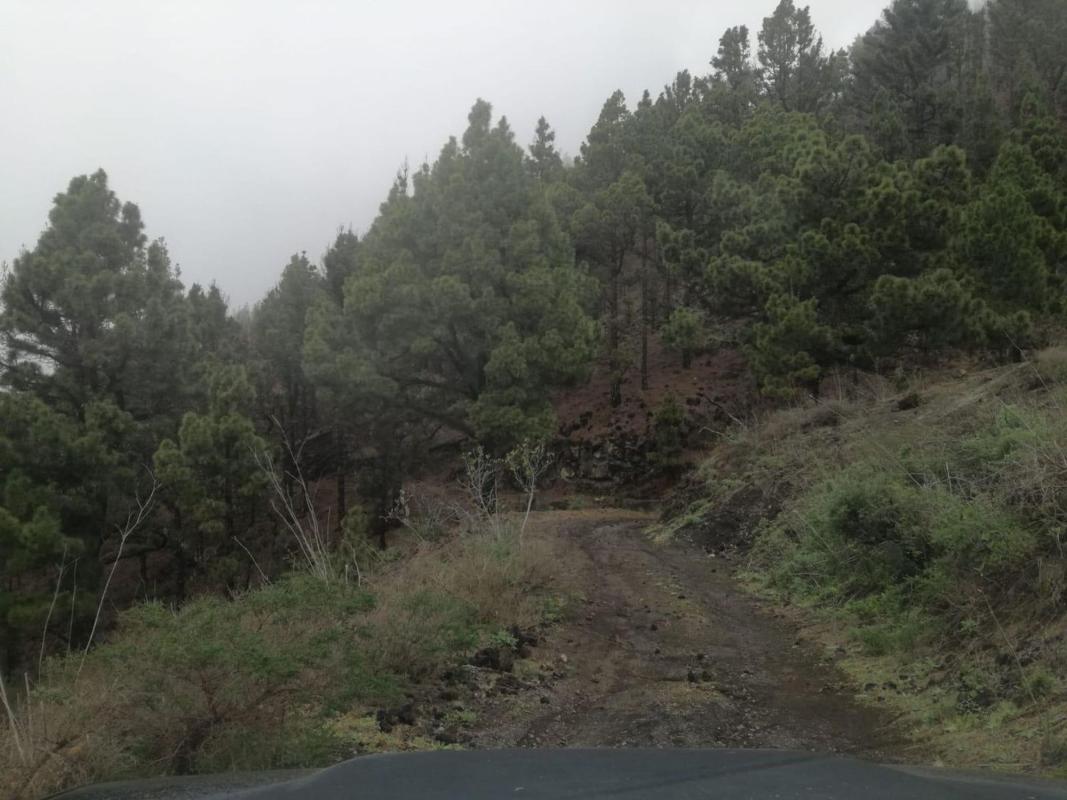 Terreno en venta en El Paso, Santa Cruz de Tenerife photo 4
