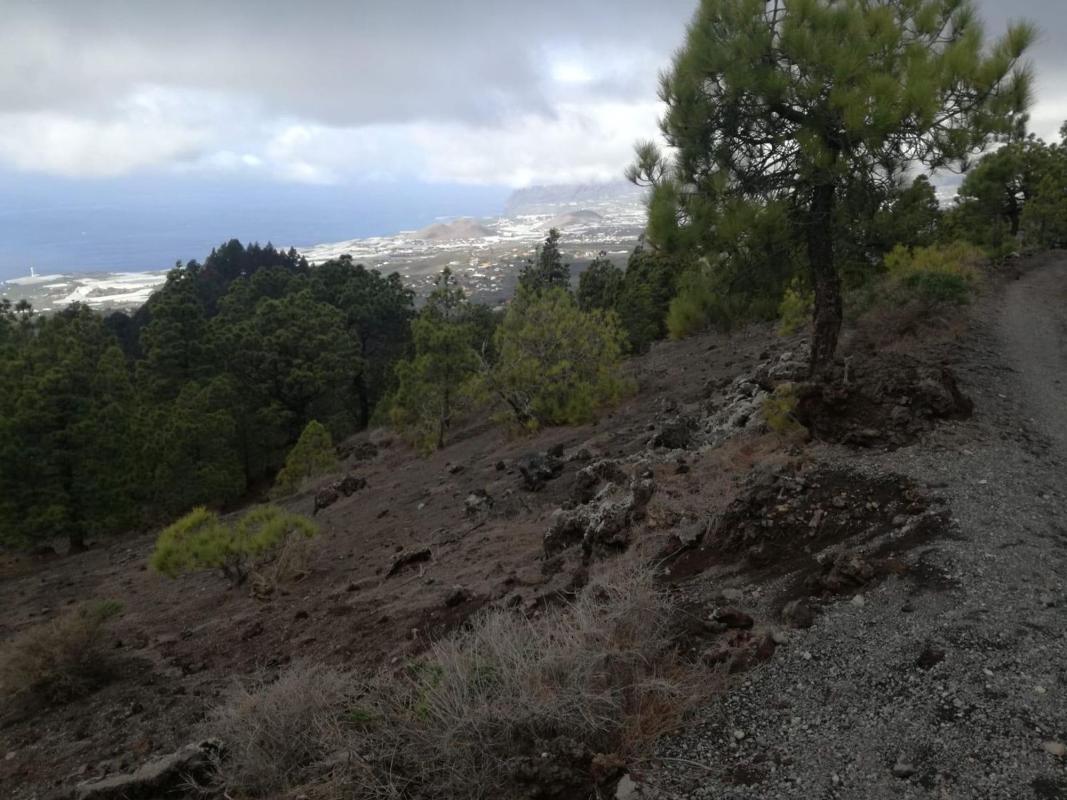 Terreno en venta en El Paso, Santa Cruz de Tenerife photo 5