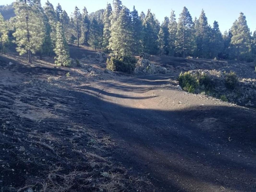 Terreno en venta en El Paso, Santa Cruz de Tenerife photo 2
