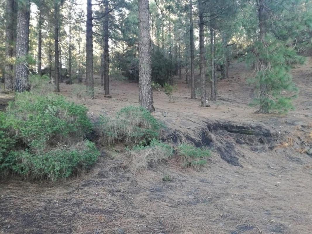 Terreno en venta en El Paso, Santa Cruz de Tenerife photo 5