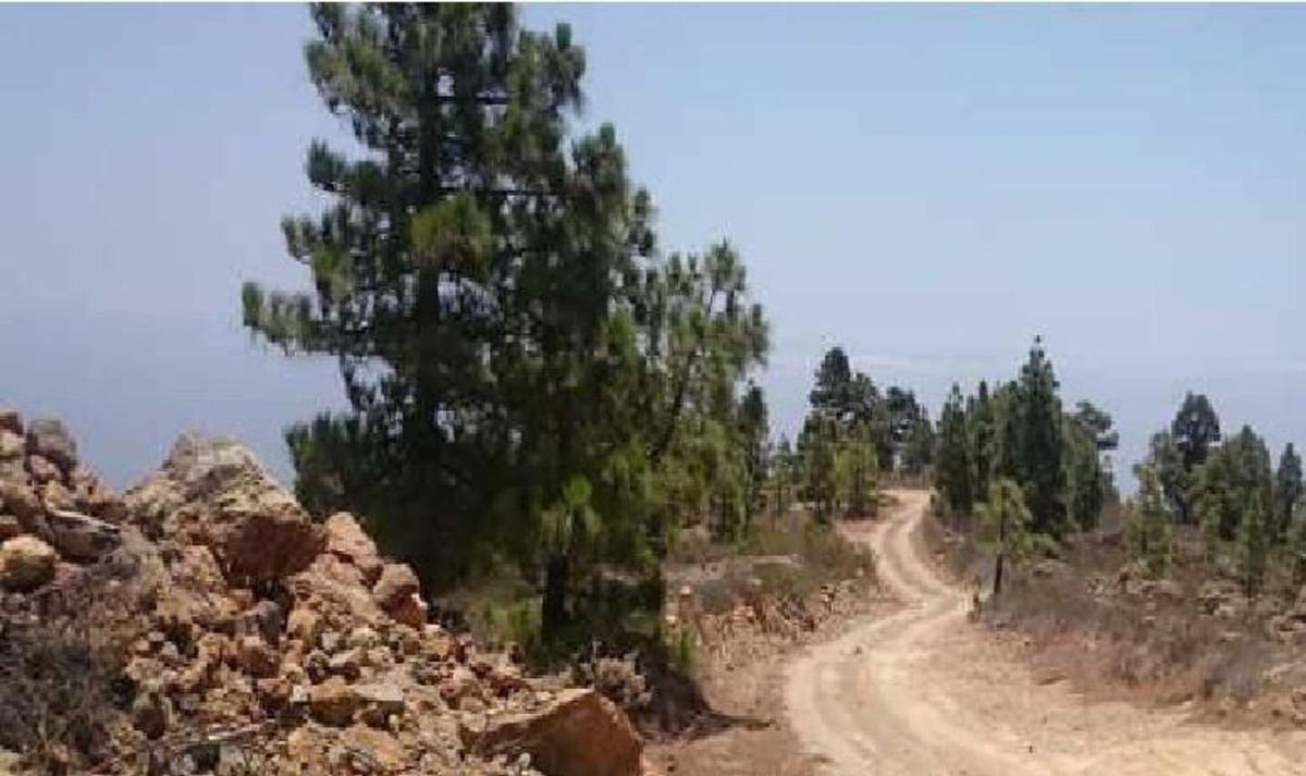 Terreno en venta en Arico, Santa Cruz de Tenerife photo 1