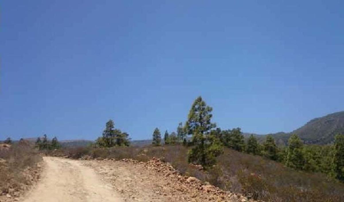 Terreno en venta en Arico, Santa Cruz de Tenerife photo 2