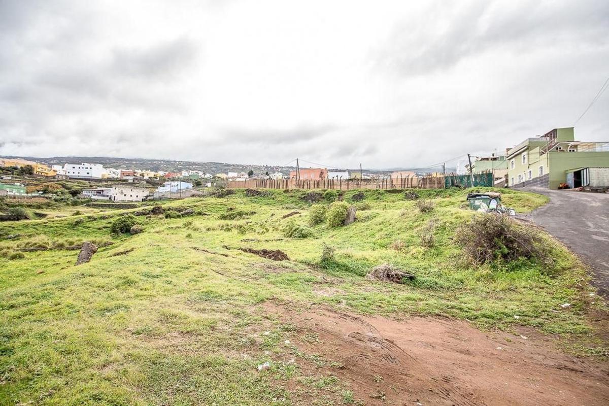 Terreno en venta en Los Realejos, Santa Cruz de Tenerife photo 3
