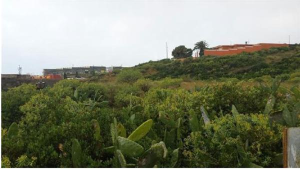 Terreno en Calle Rododendro, 17, El Chorrillo, Santa Cruz de Tenerife photo 3