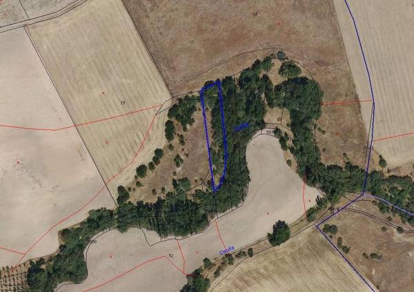 Terreno en Monterrubio photo 1