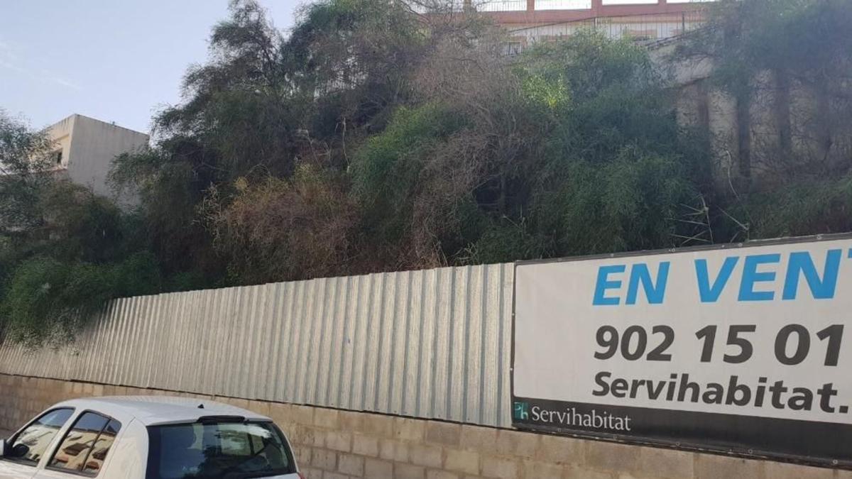 Terreno en venta en Marchena, Sevilla photo 3