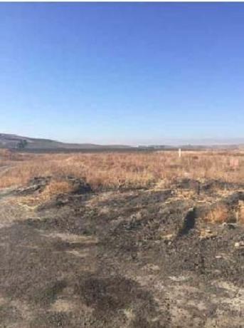 Terreno en Poligono el Garrotal, El Coronil photo 2