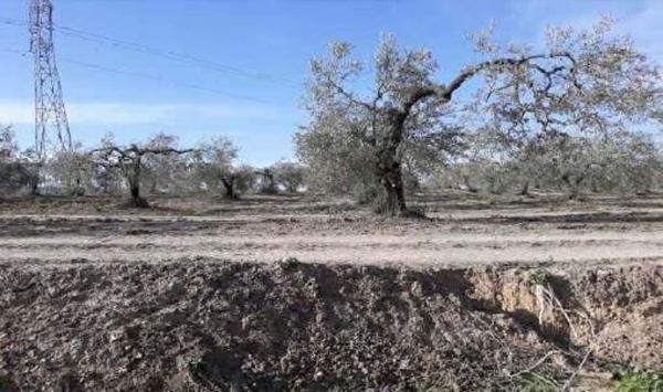 Terreno en Plaza de España, 11 -1, Albaida del Aljarafe thumbnail 2