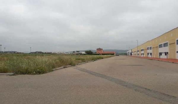 Terreno en Calle Polonia, 11, Burguillos photo 2