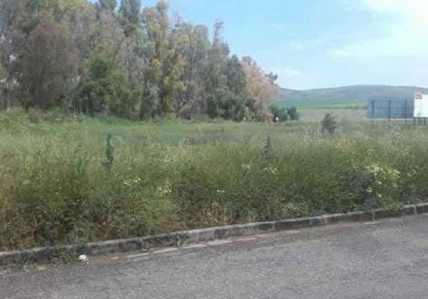 Terreno en Calle Rembrandt, 1, Burguillos photo 1