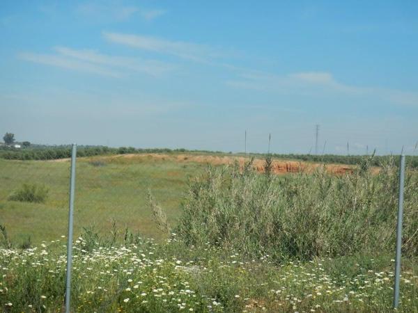 Terreno en Poligono los Olivos Ppi, Guillena pueblo, Guillena photo 1