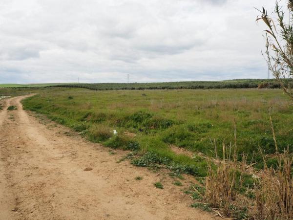 Terreno en Poligono los Olivos Ppi, Guillena pueblo, Guillena thumbnail 2