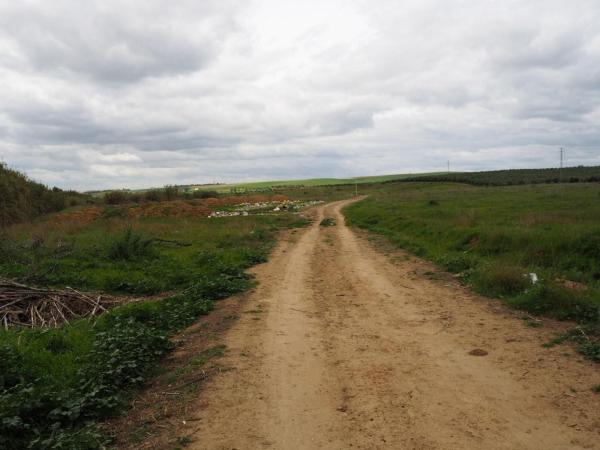 Terreno en Poligono los Olivos Ppi, Guillena pueblo, Guillena photo 4