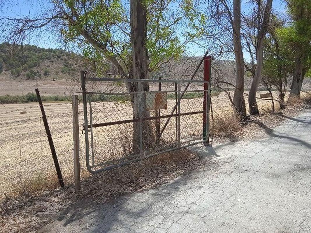 Terreno en venta en Moron de la Frontera, Sevilla photo 4