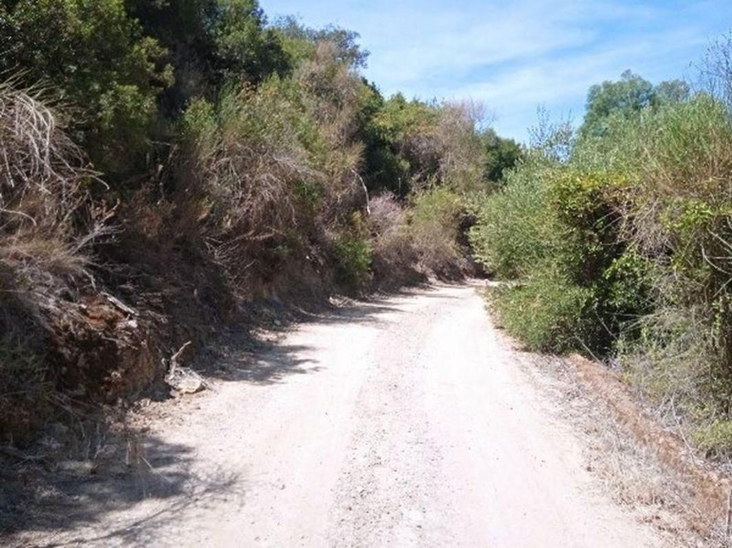 Terreno en venta en Moron de la Frontera, Sevilla photo 5