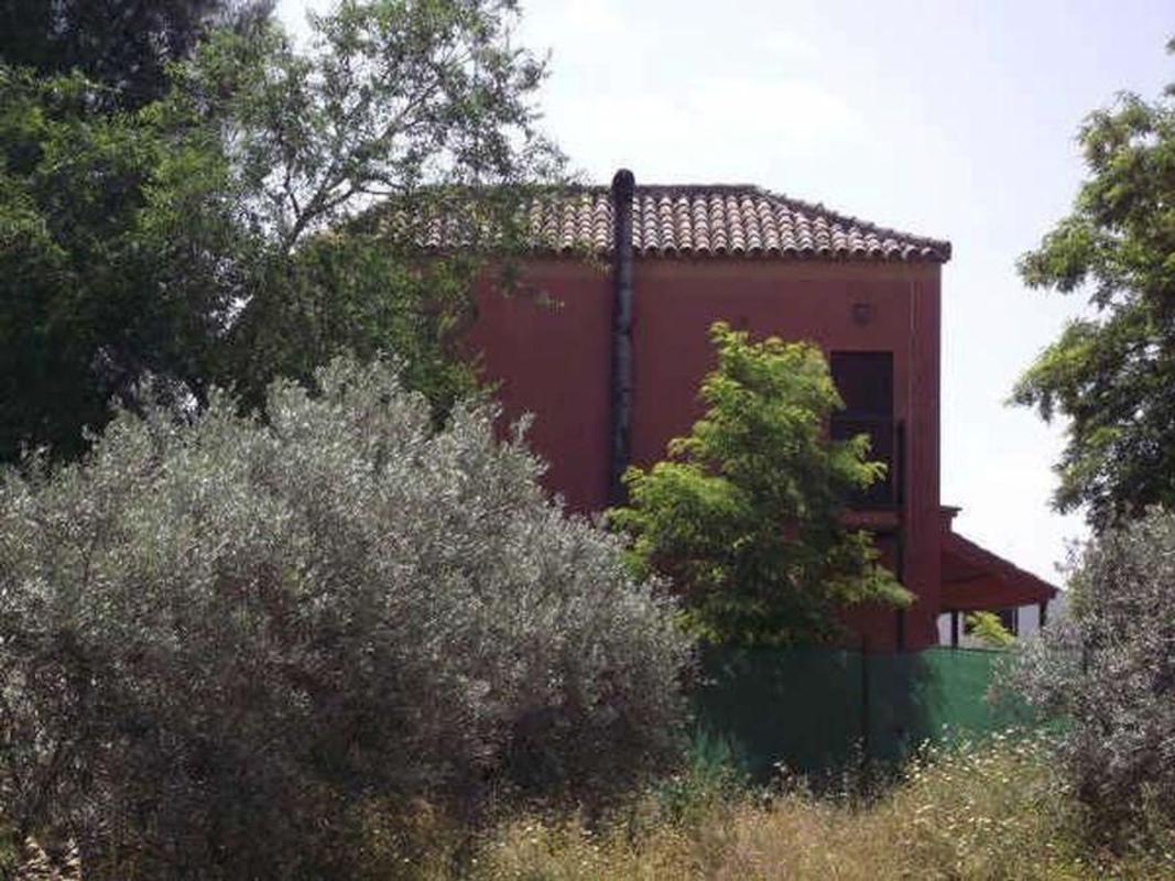 Terreno en venta en Marchena, Sevilla photo 3