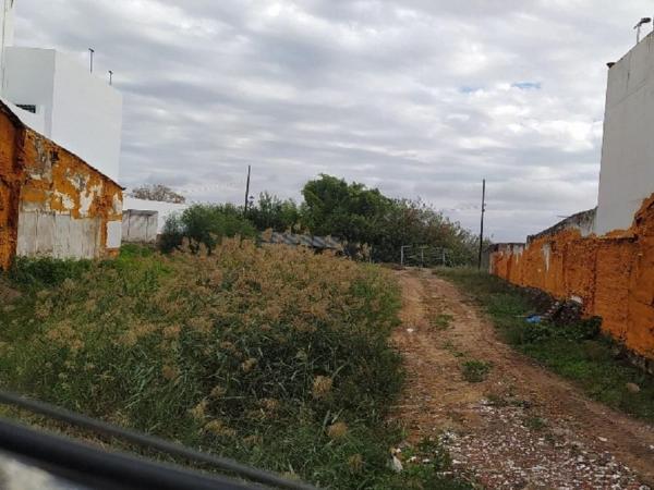 Terreno en Calle Antonio Reverte, 28, Alcalá del Río thumbnail 2