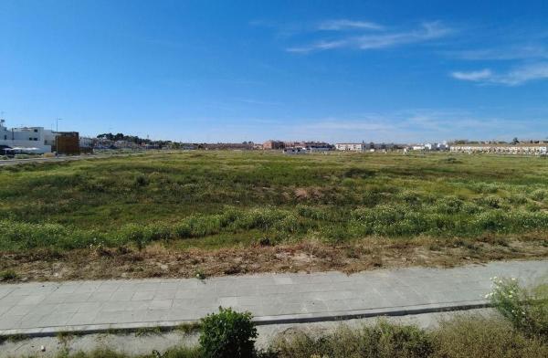 Terreno en Calle Arroyo Río Pudio s/n, Palomares del Río photo 4