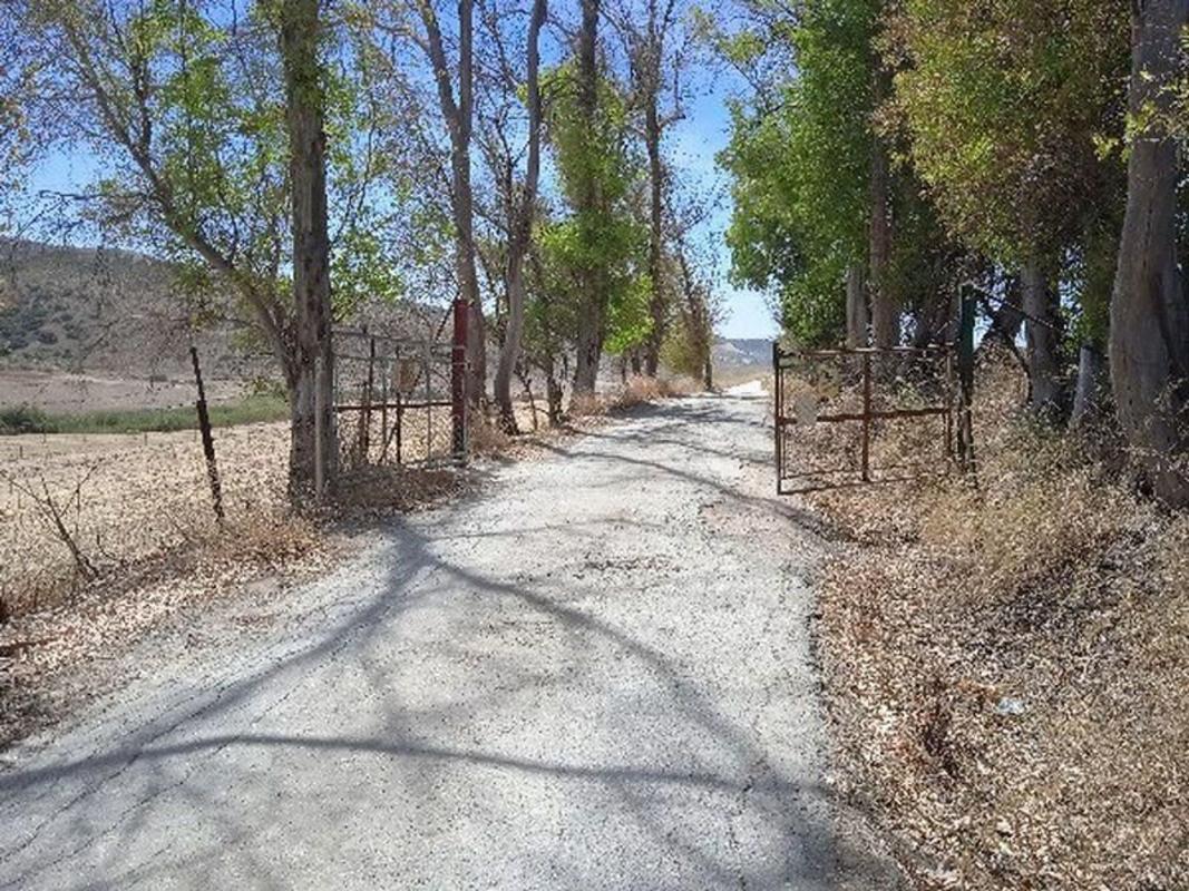 Terreno en venta en Moron de la Frontera, Sevilla photo 3
