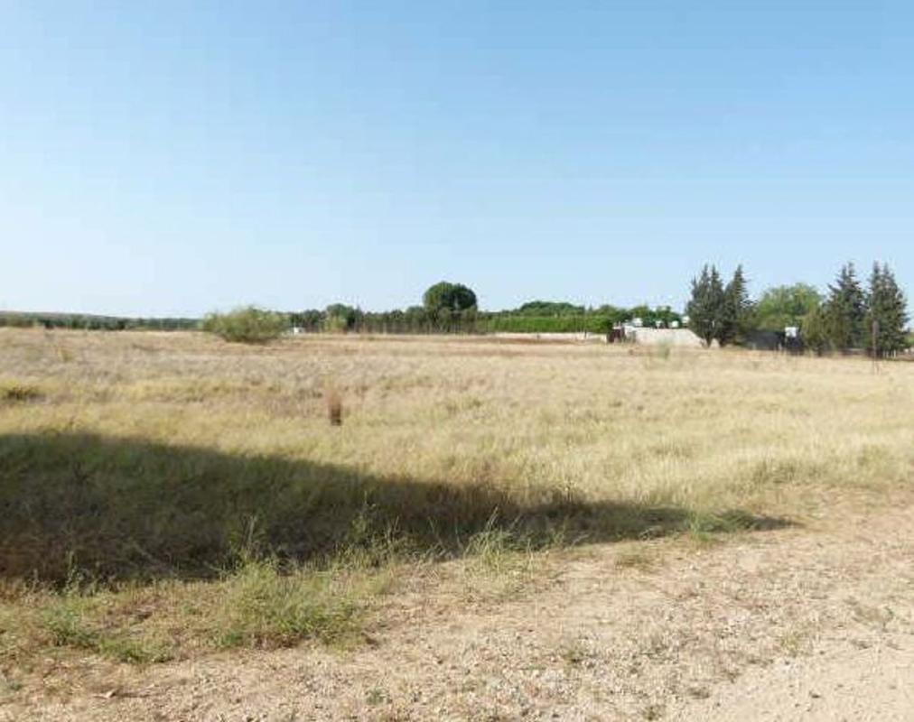 Terreno en venta en Dos Hermanas, Sevilla photo 3