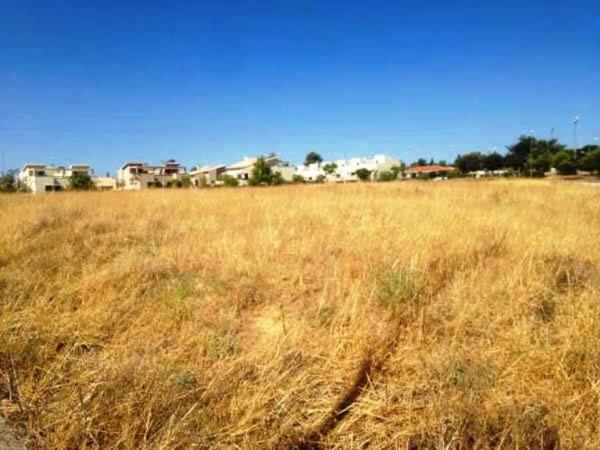 Terreno en Avenida de las Pajanosas s/n, Guillena pueblo, Guillena thumbnail 3