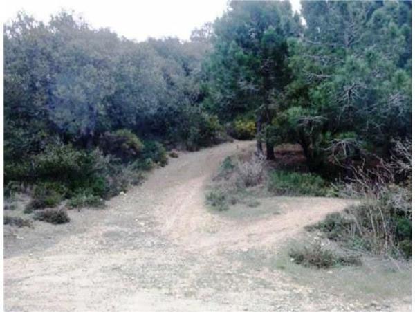Terreno en Calle Verge de l'Esperança, Figuerola del Camp photo 1