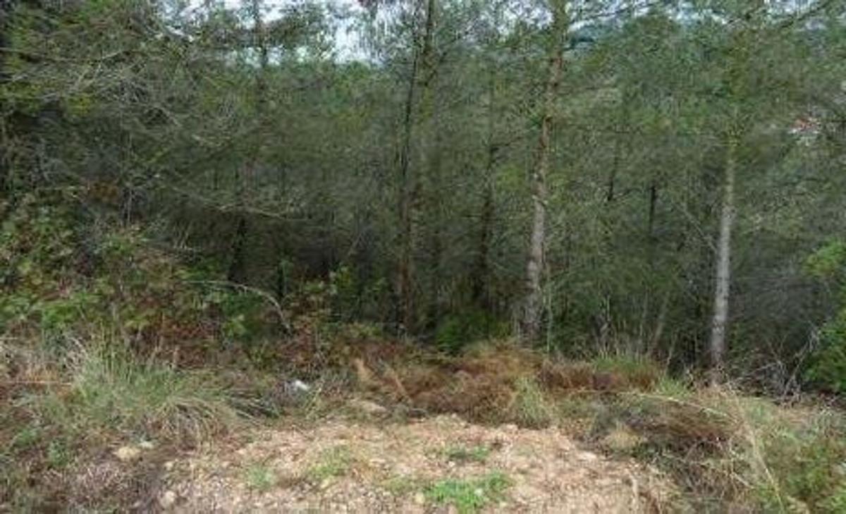 Działka na sprzedaż w El Montmell, Tarragona photo 1