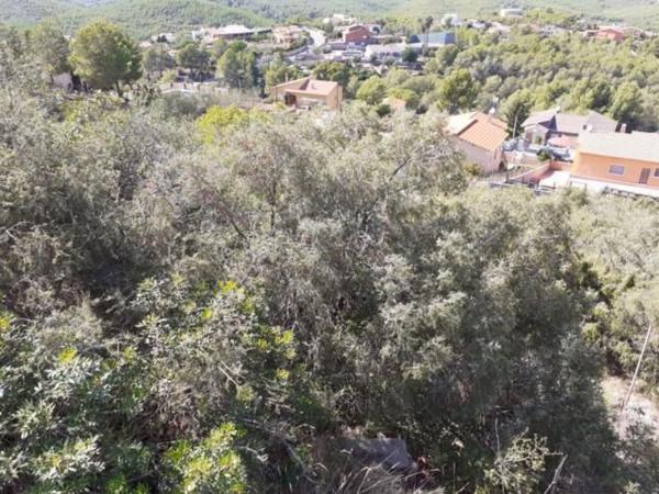 Terreno en Calle Tordera, 10, La Bisbal del Penedès thumbnail 1
