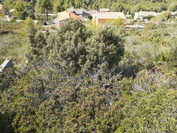 Terreno en Calle Tordera, 10, La Bisbal del Penedès photo 3