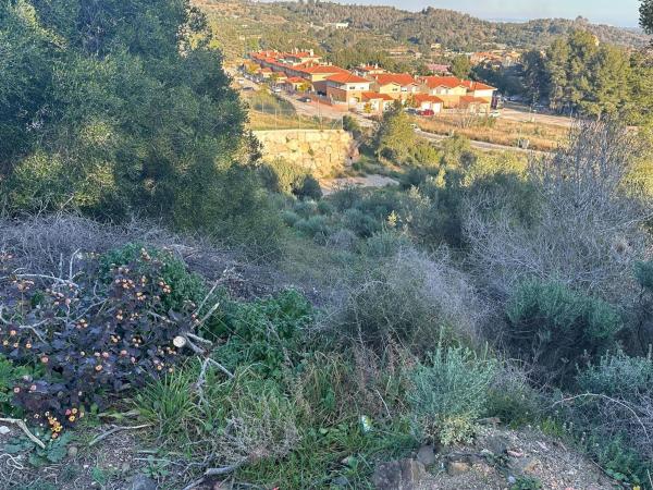 Terreno en Calle de la Bruguera, 285, Riudecanyes photo 1