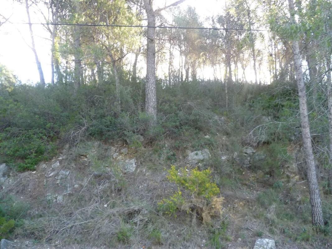 Terreno en venta en La Bisbal del Penedès, Tarragona photo 4