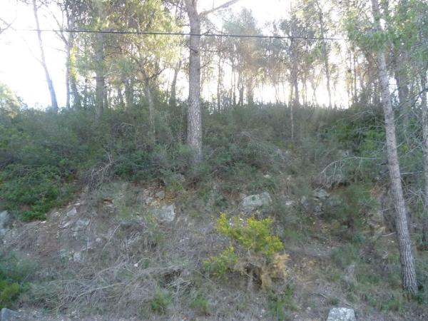 Terreno en Calle del Foix, 15, La Bisbal del Penedès photo 4