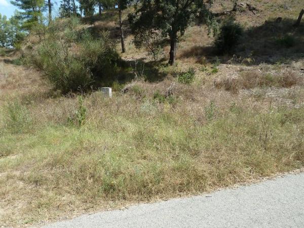 Terreno en Calle de la Vallesa, 192, Riudecanyes photo 1