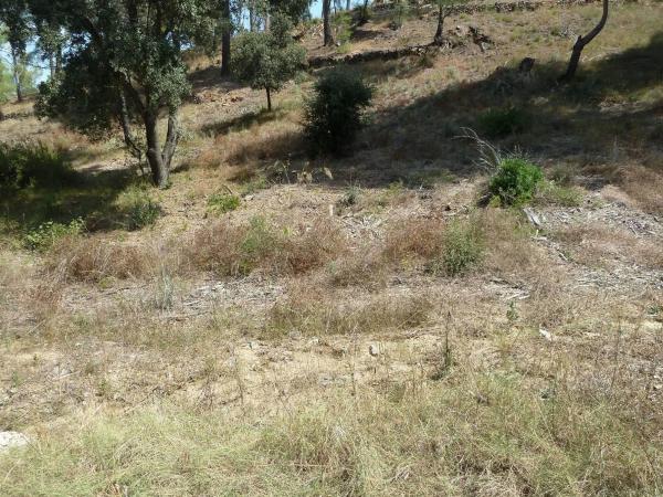 Terreno en Calle de la Vallesa, 192, Riudecanyes thumbnail 1