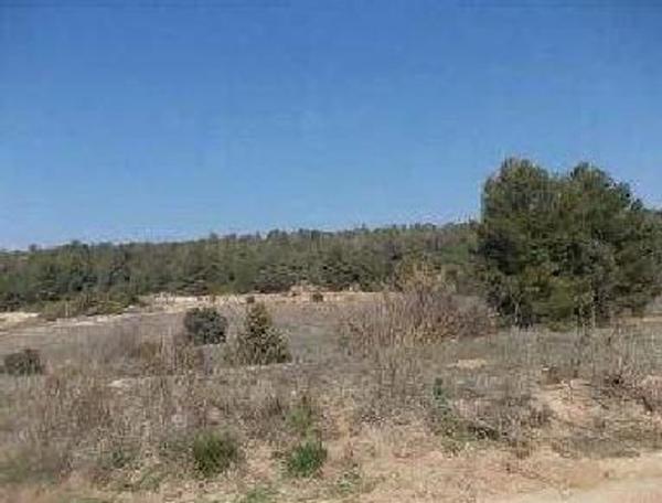 Terreno en Via sense nom, Tivissa photo 1