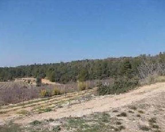 Terreno en Via sense nom, Tivissa photo 2