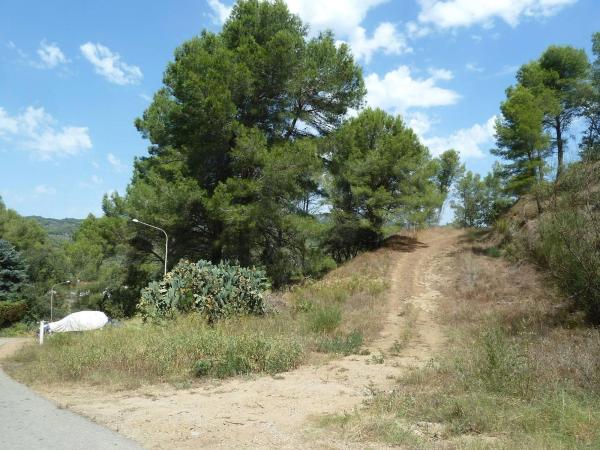 Terreno en Calle de la Vallesa, 190, Riudecanyes photo 1